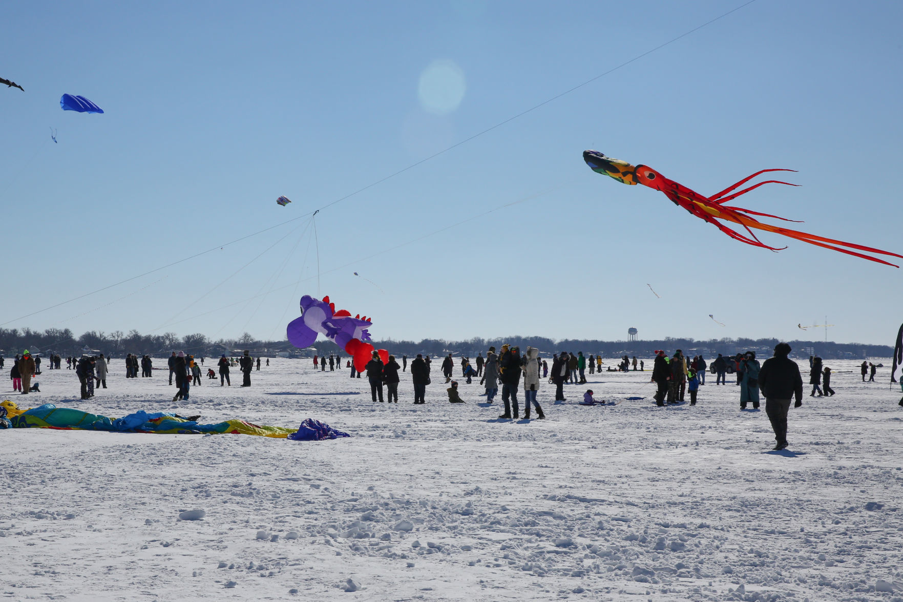 Color the Wind Kite Festival 2019 (43).jpg
